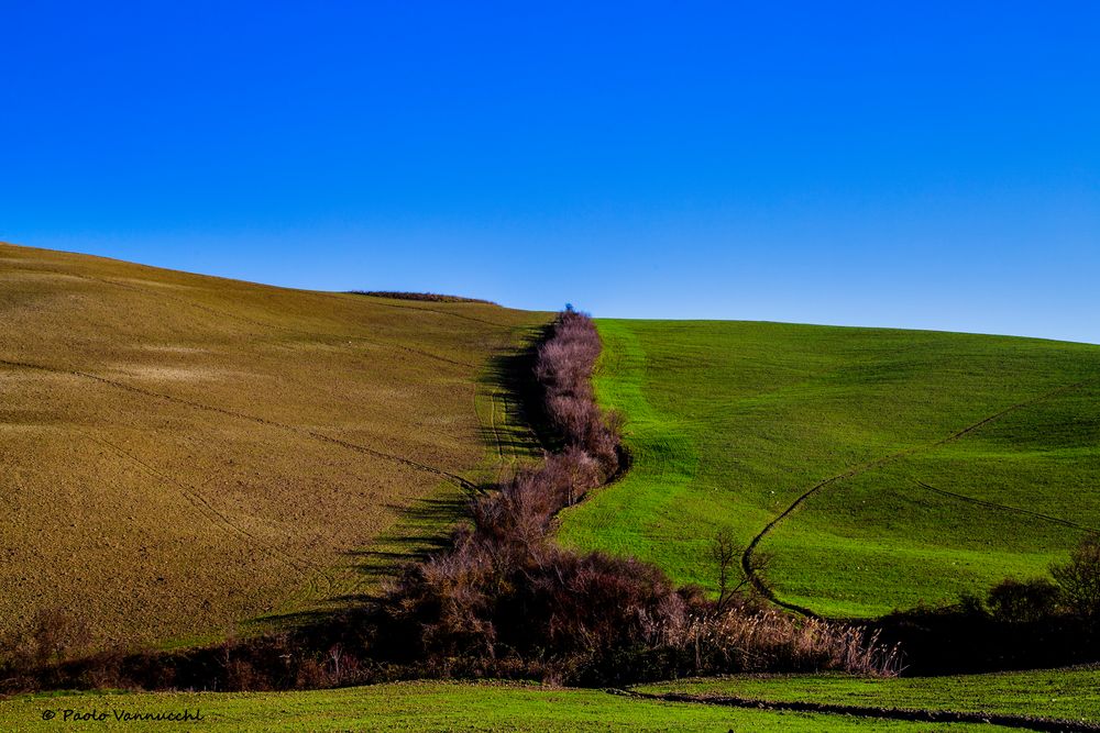 brown & green...Terre senesi...(2)