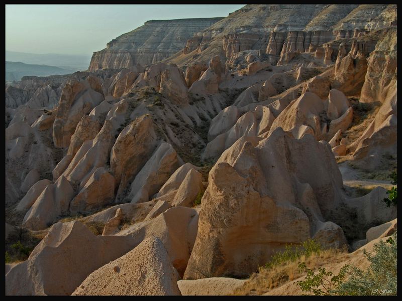 BROWN MOUNTAINS