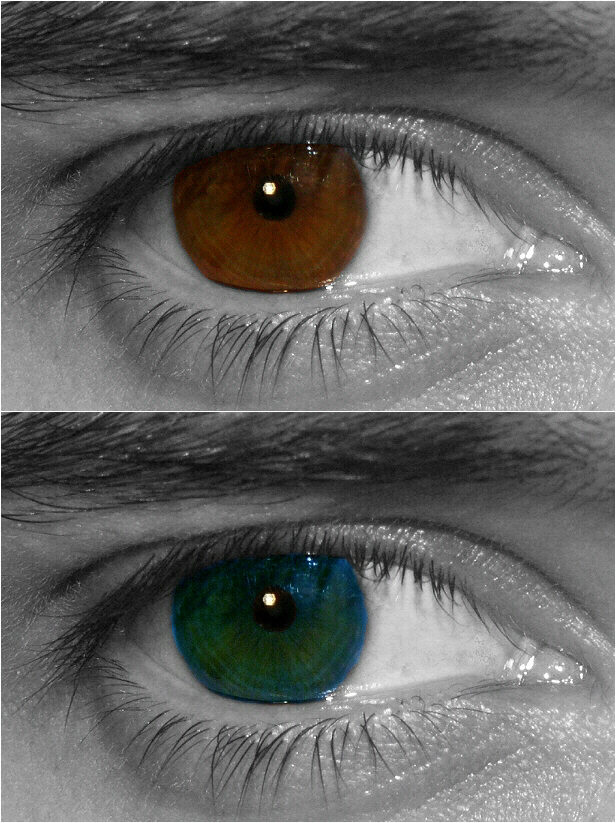 brown or blue?