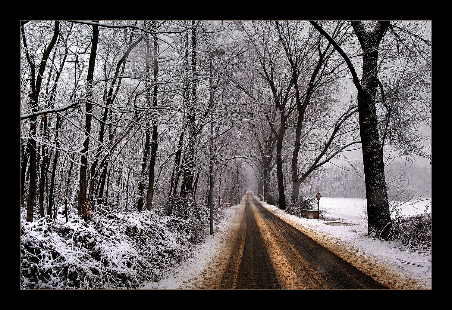 ... Brown Snow -2- .....