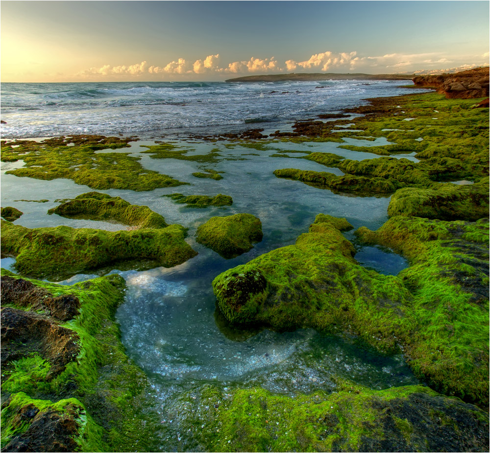 Brown stones in green velvet