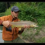 brown trout