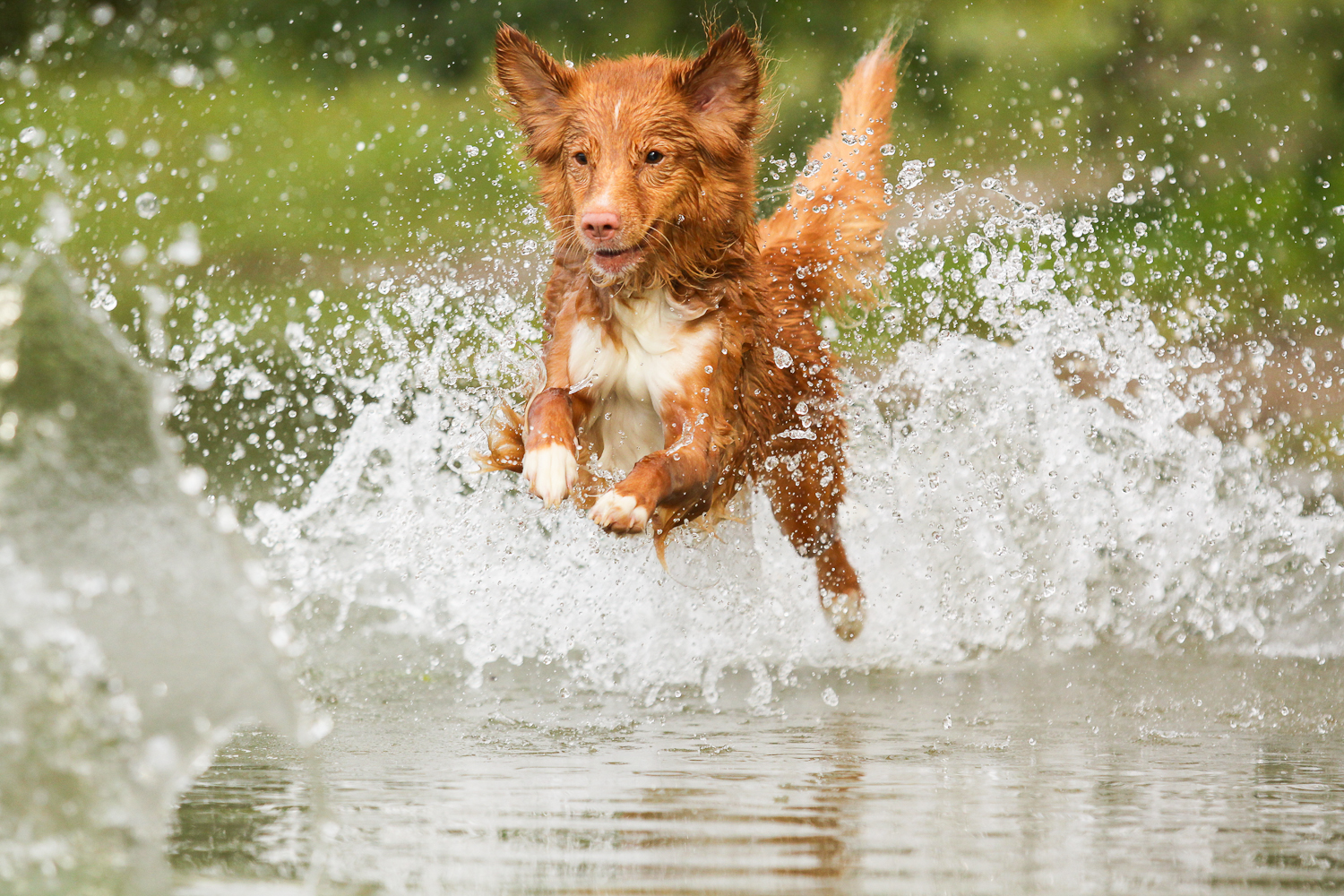 Brown Water Jumper