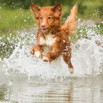 Brown Water Jumper