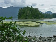 Browning Passage BC