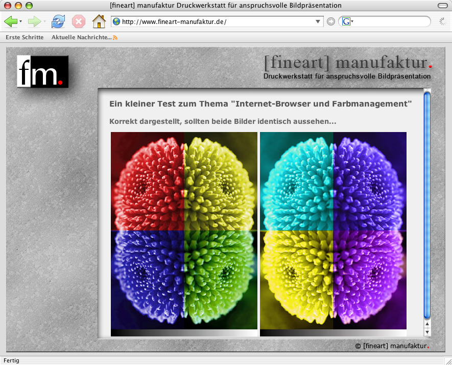 Browser und Farbmanagement: Internet Explorer, Firefox und Co.