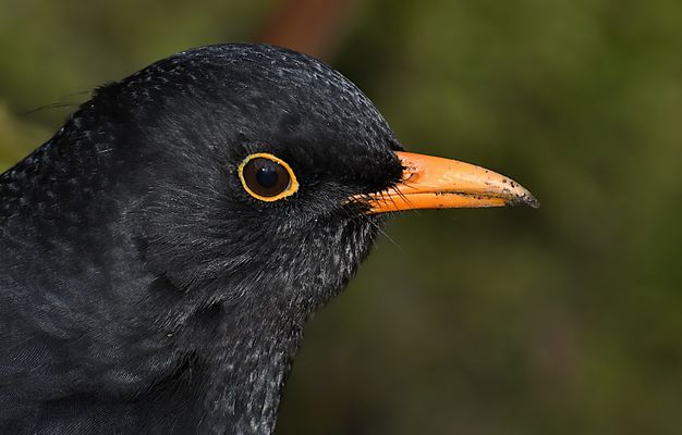 Brr, der Winter ist da ...