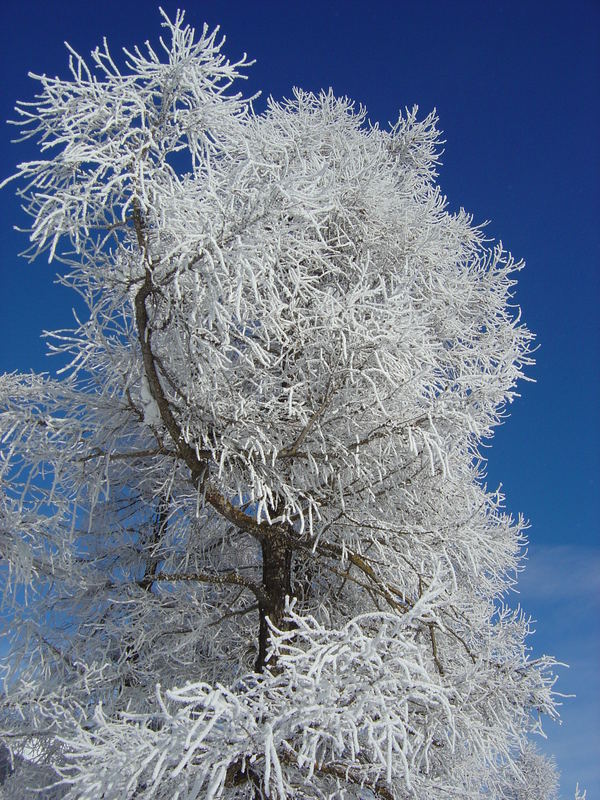 Brrr eisigkalt