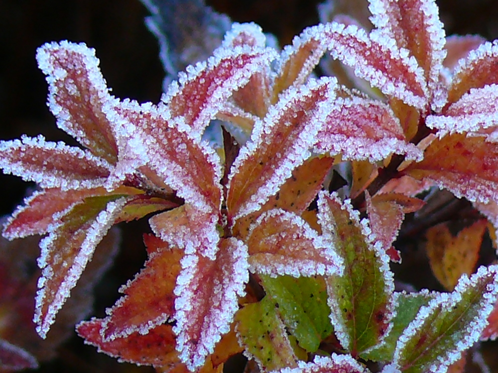 Brrr ... ganz schön kalt hier