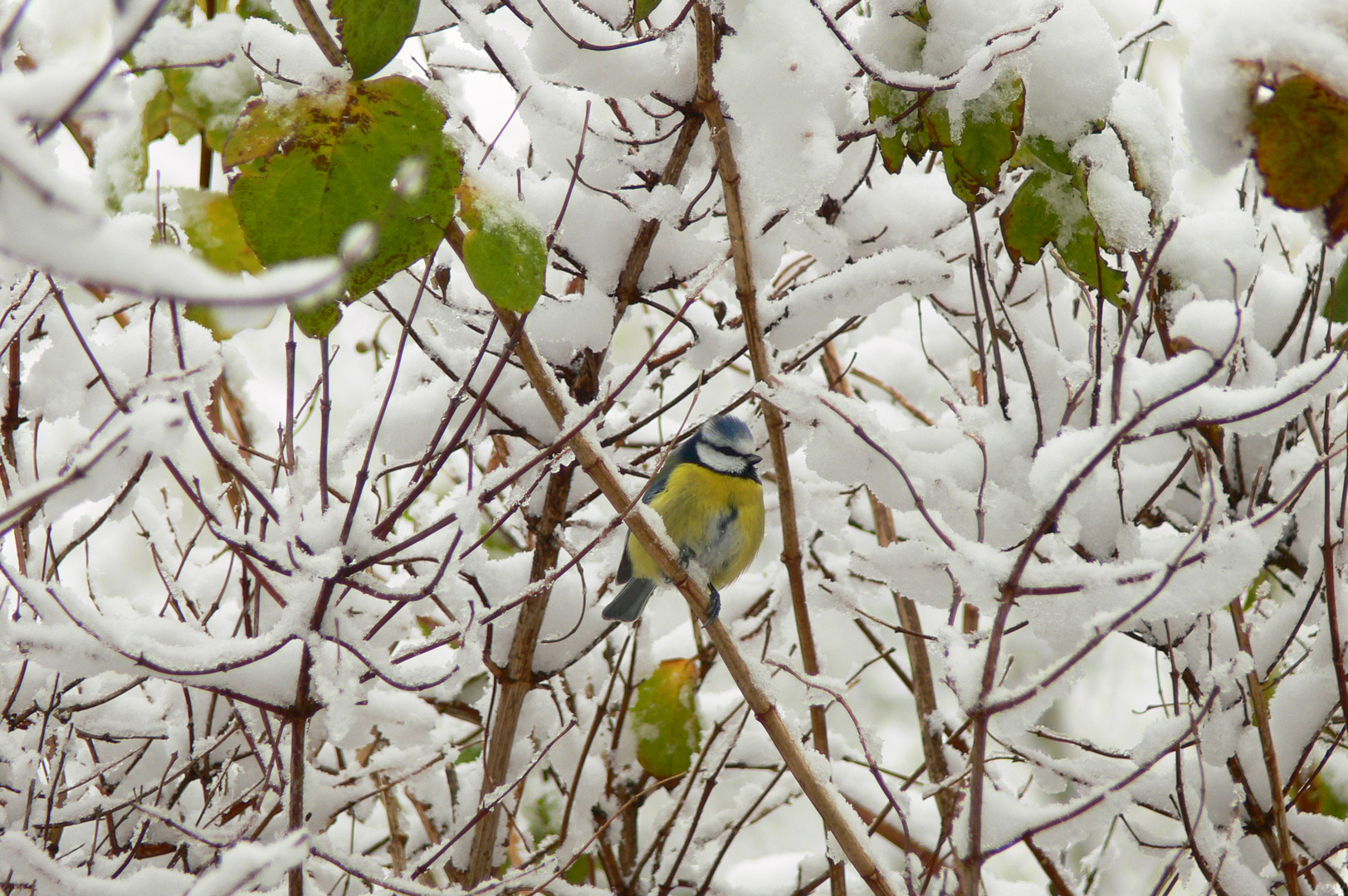 Brrr, ist das kalt