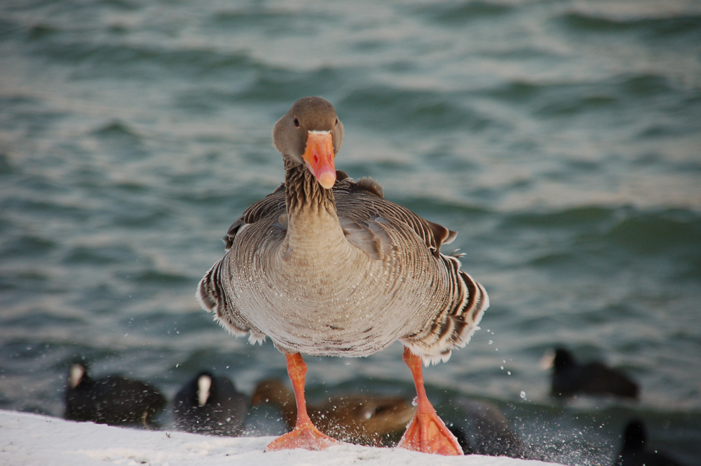 Brrr ist das Wasser kalt