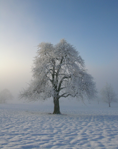 Brrr _ kalt