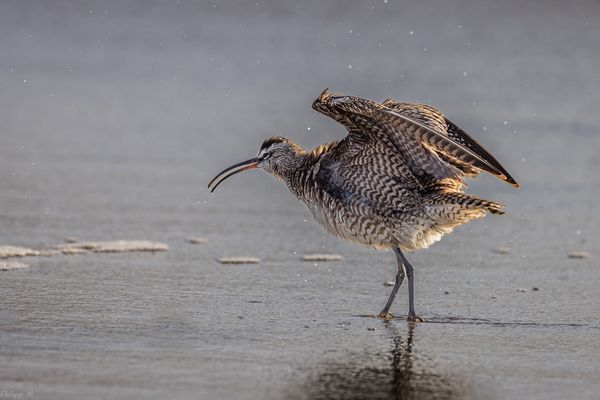 Brrr, kurz nach Sonnenaufgang…