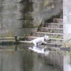 Brrrr, das Wasser ist ja heute so kalt, nichts wie raus!