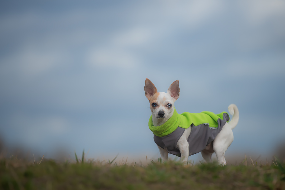 Brrrr, ich mag Frühling!!