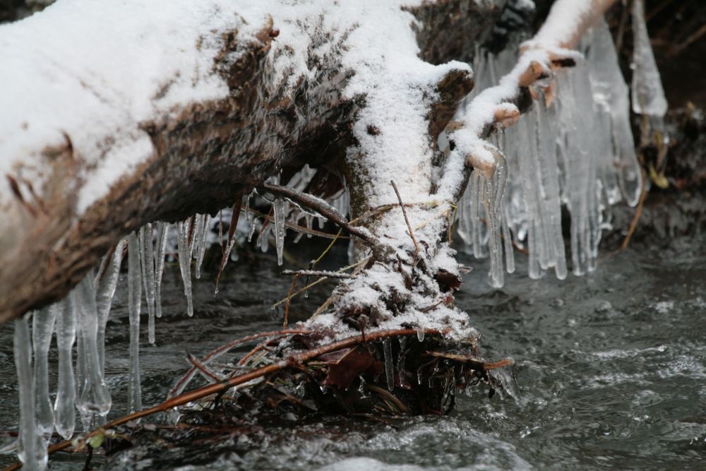 Brrrr! Is das kalt!