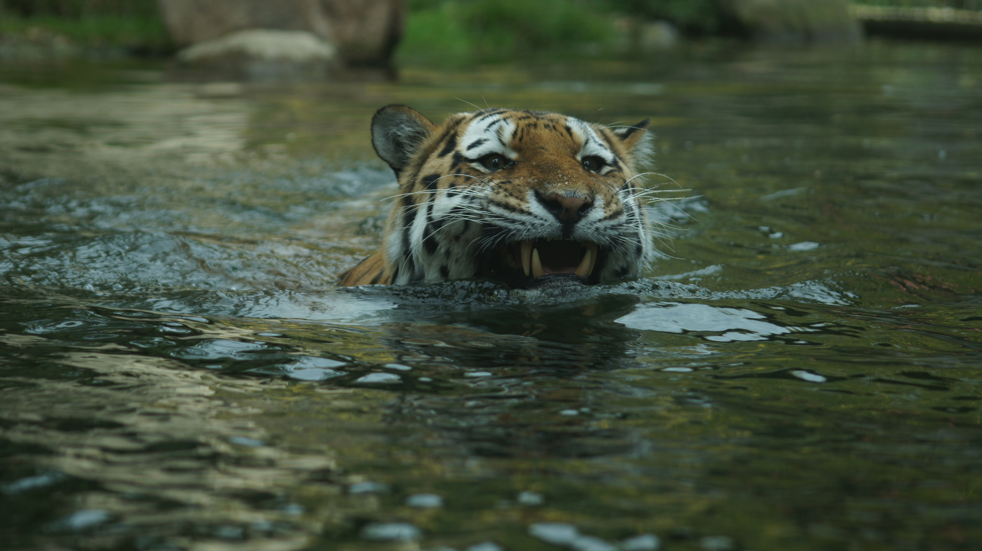 Brrrr, ist das Wasser heute kalt!