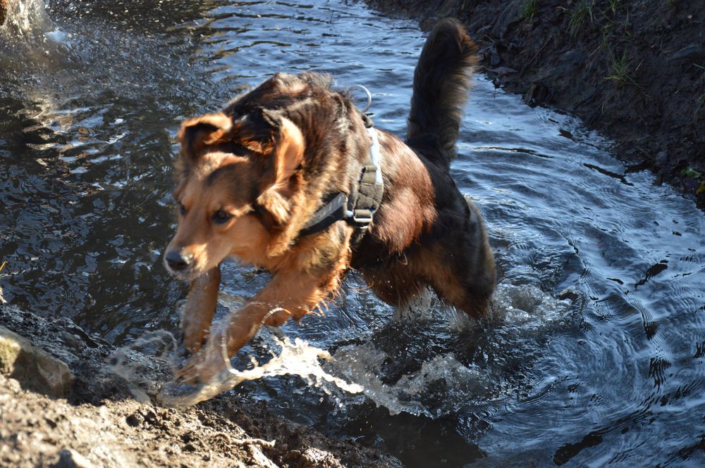 Brrrr - zu kalt, das Wasser