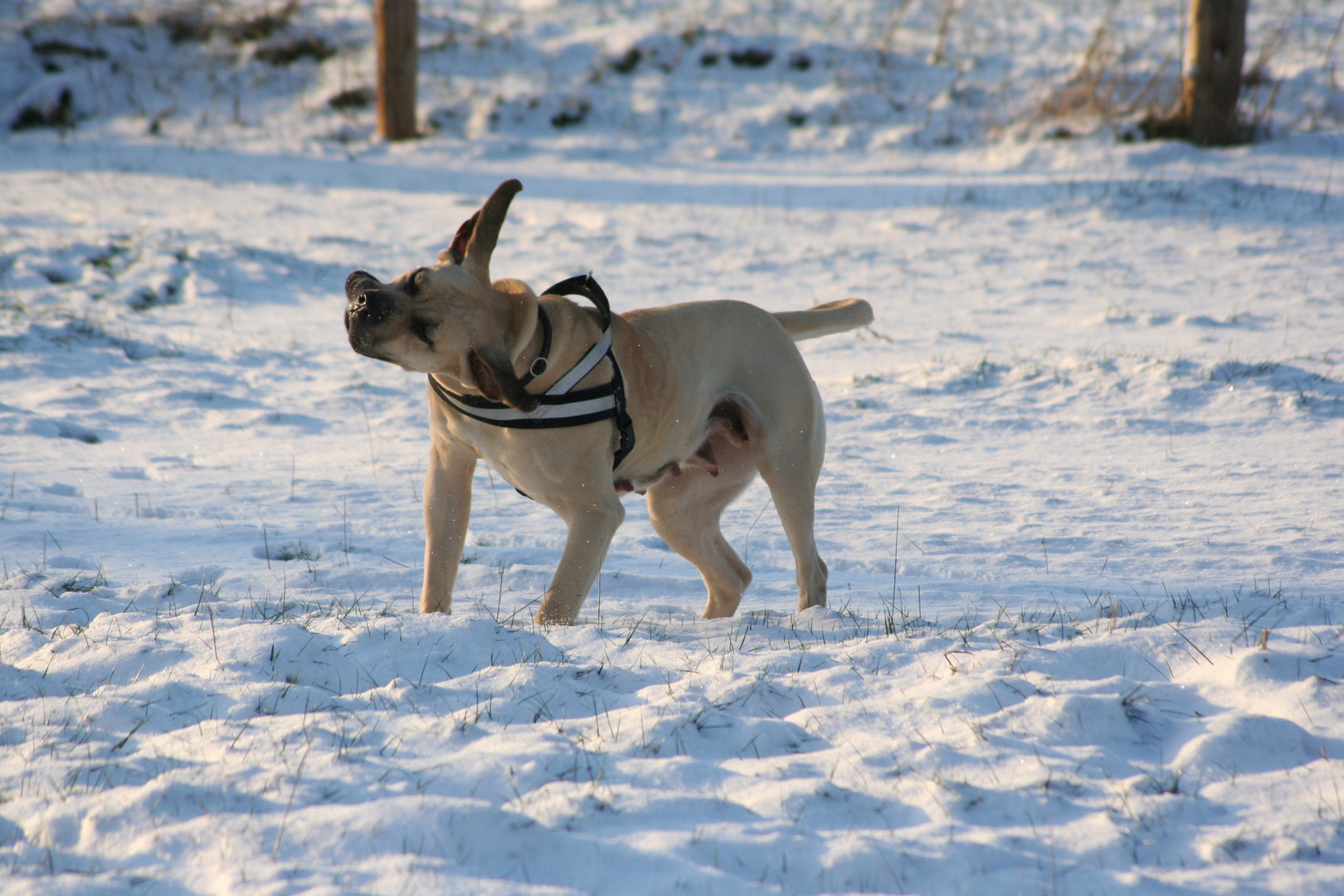 brrrr..ist das kalt