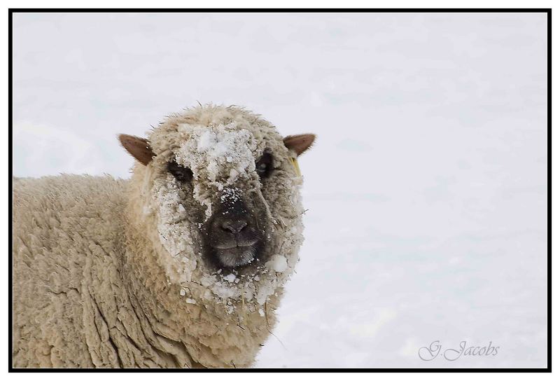 Brrrrr ist das kalt!