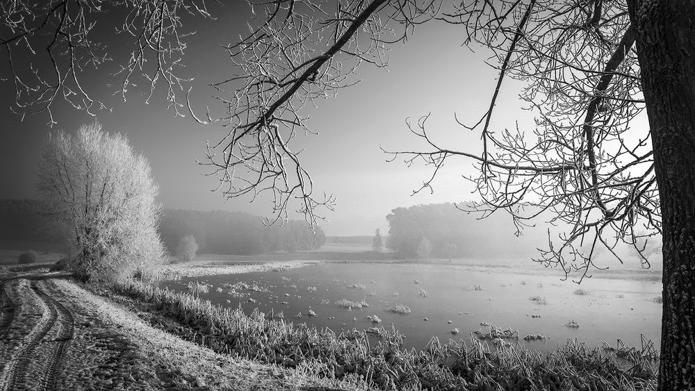Brrrrr links vom Baum Foto & Bild landschaft, jahreszeiten, winter