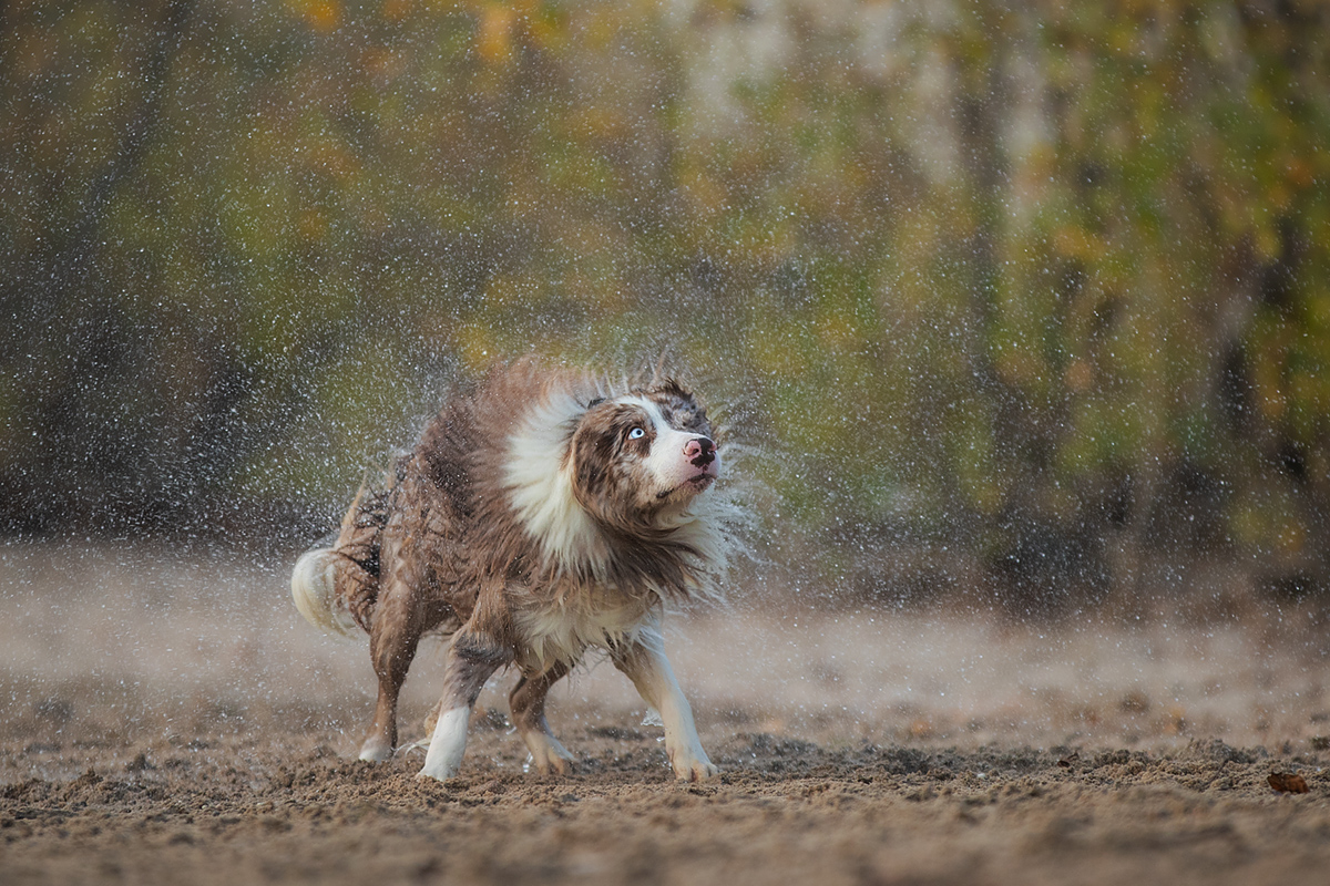 Brrrrrr, Dienstag!