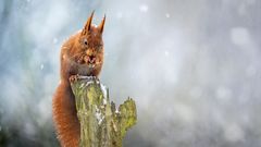 brrrrrrr - ist das kalt  .....
