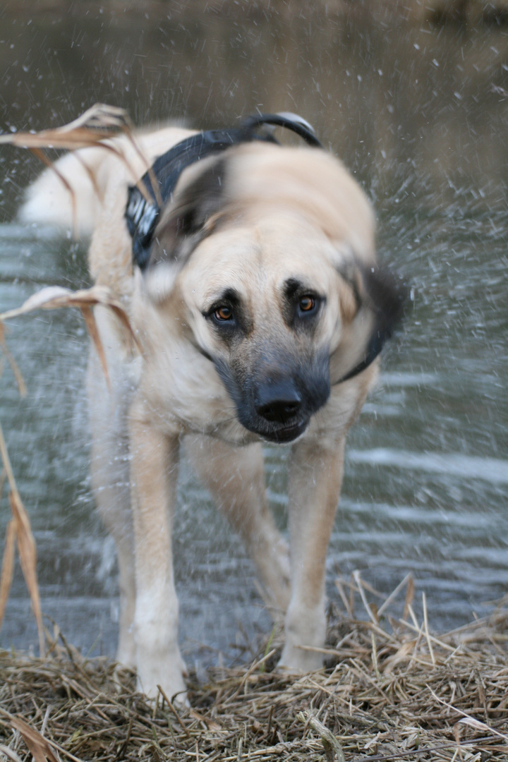 Brrrrrrrrr. das Wasser ist kalt.....