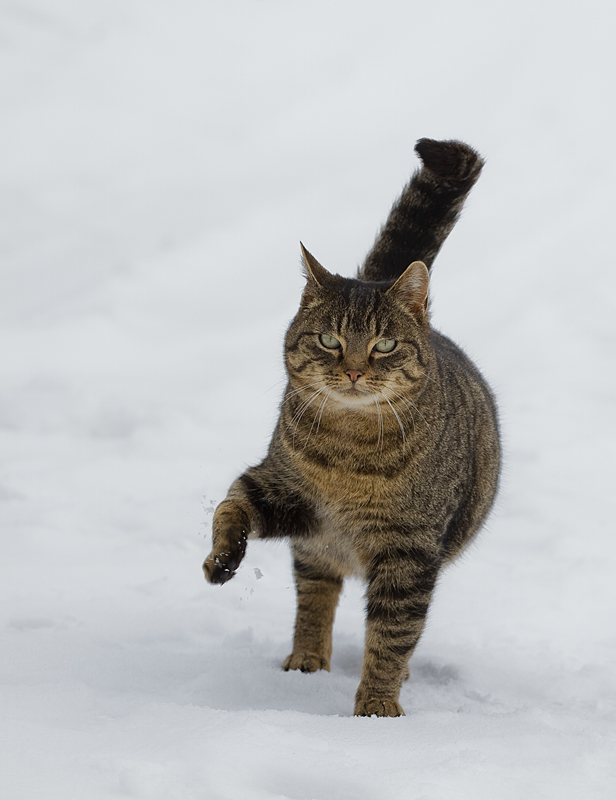 Brrrrrrrrr - ist das kalt heute