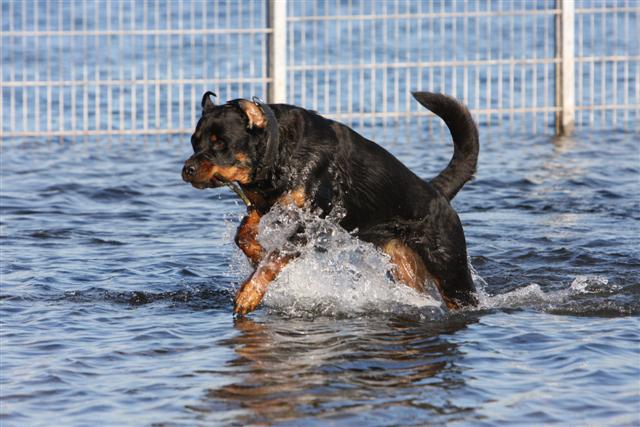 BRRRRRRRRRRR ist doch noch kein Badewetter