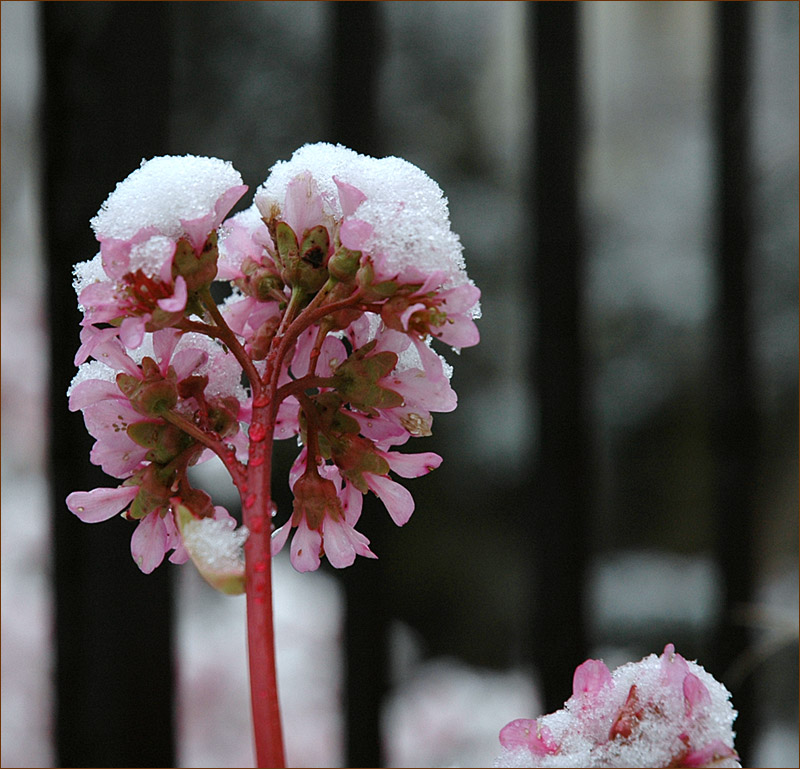 Brrrr,wer war das?