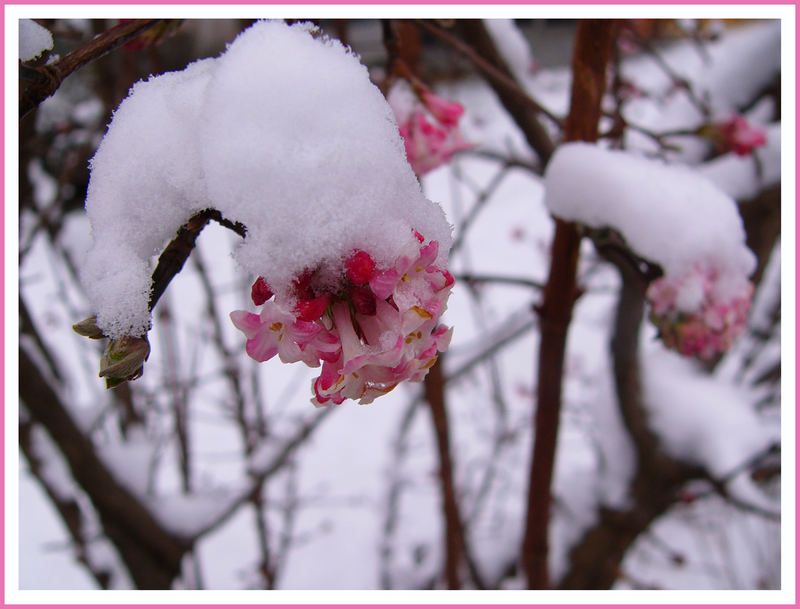 brrr...sagte die eine zur andern...