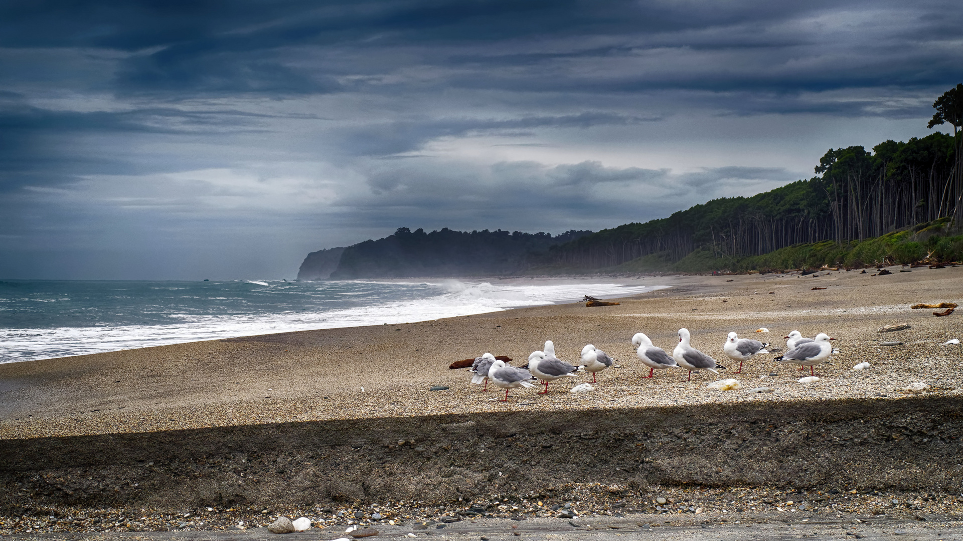 Bruce Bay * Silent