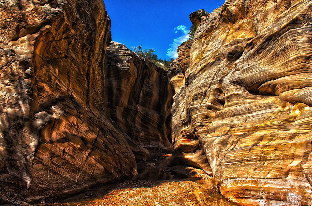 (Bruce) Willis Creek HDR