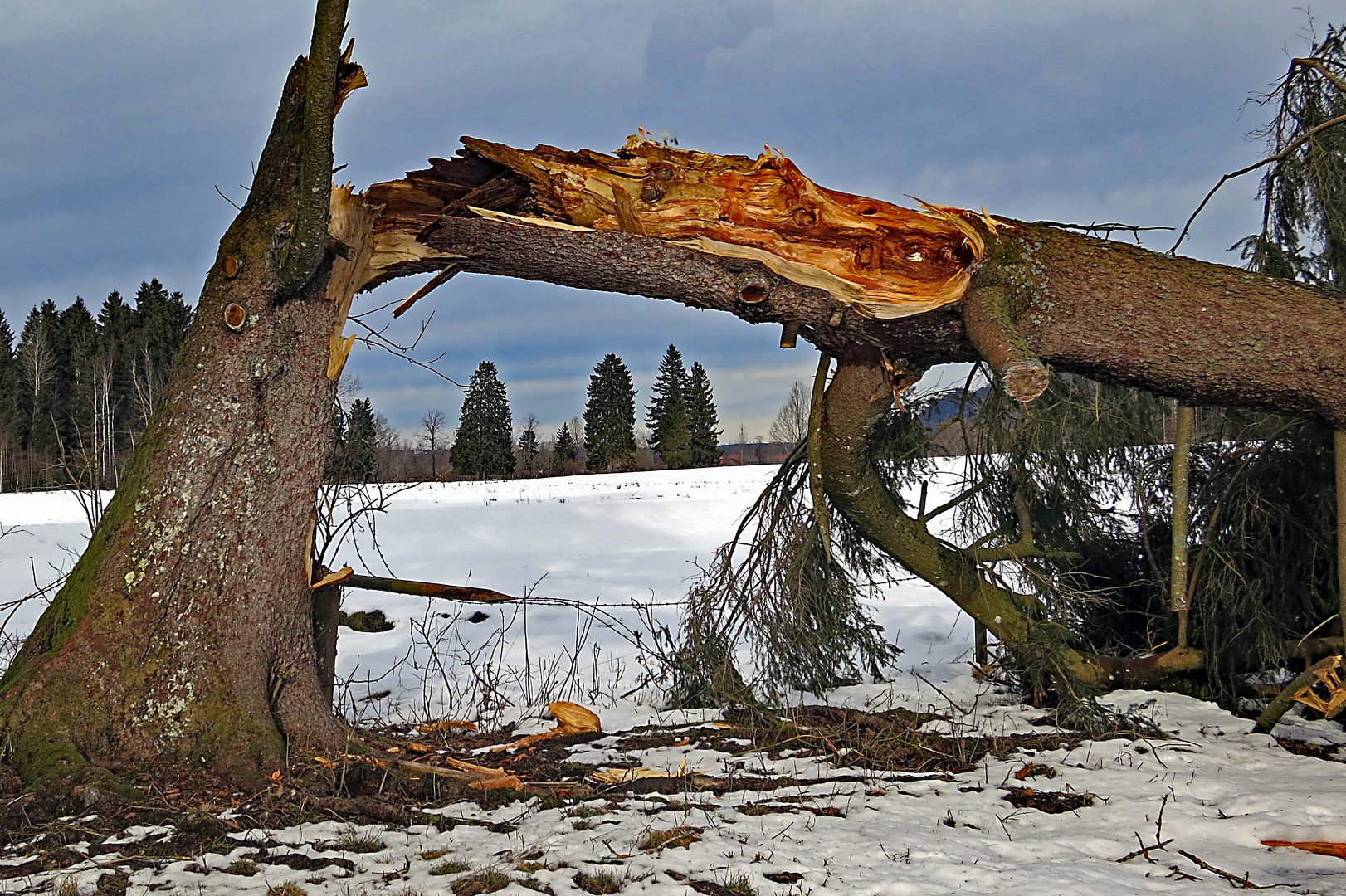 Bruch durch Schnee?