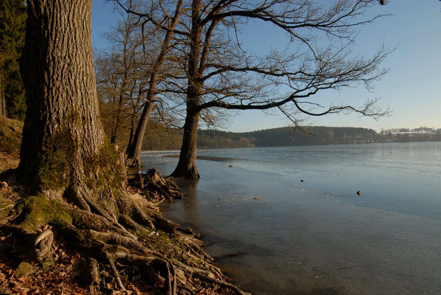 Brucher See