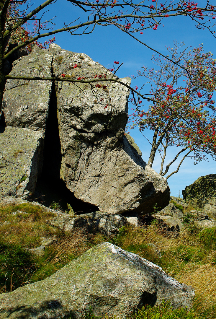 Bruchhauser Steine, am "Dackelfelsen"