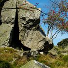 Bruchhauser Steine, am "Dackelfelsen"