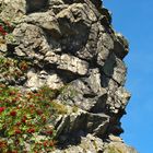 Bruchhauser Steine, der Feldstein, Nationales Naturmonument, Geotop und Bodendenkmal