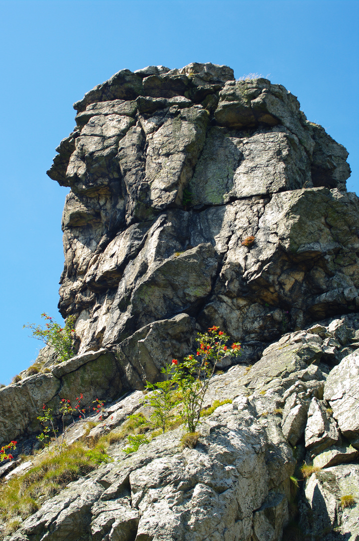 Bruchhauser Steine, Nationales Naturmonument, Geotop und Bodendenkmal