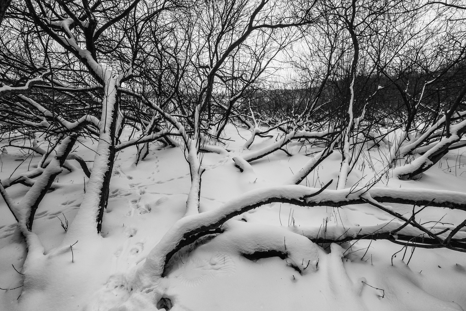 Bruchlandschaft im Schnee