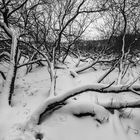 Bruchlandschaft im Schnee