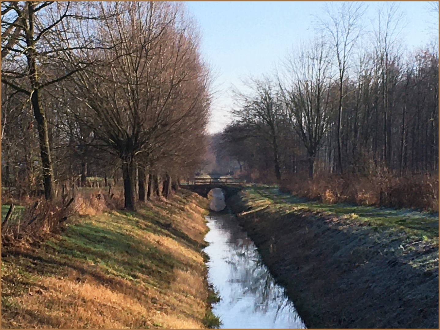 Bruchlandschaft im Winter