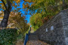 Bruchsal an der Paulusheim-Staffel. Goldener Oktober ...