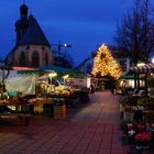 Bruchsal der Wochenmarkt 01