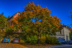         Bruchsal im Herbst 2016