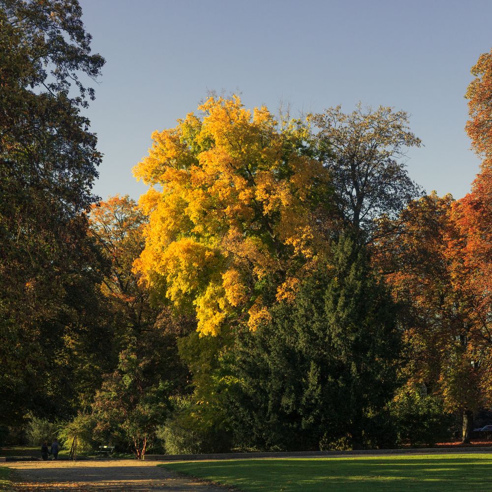 Bruchsal - Schloßgarten 05