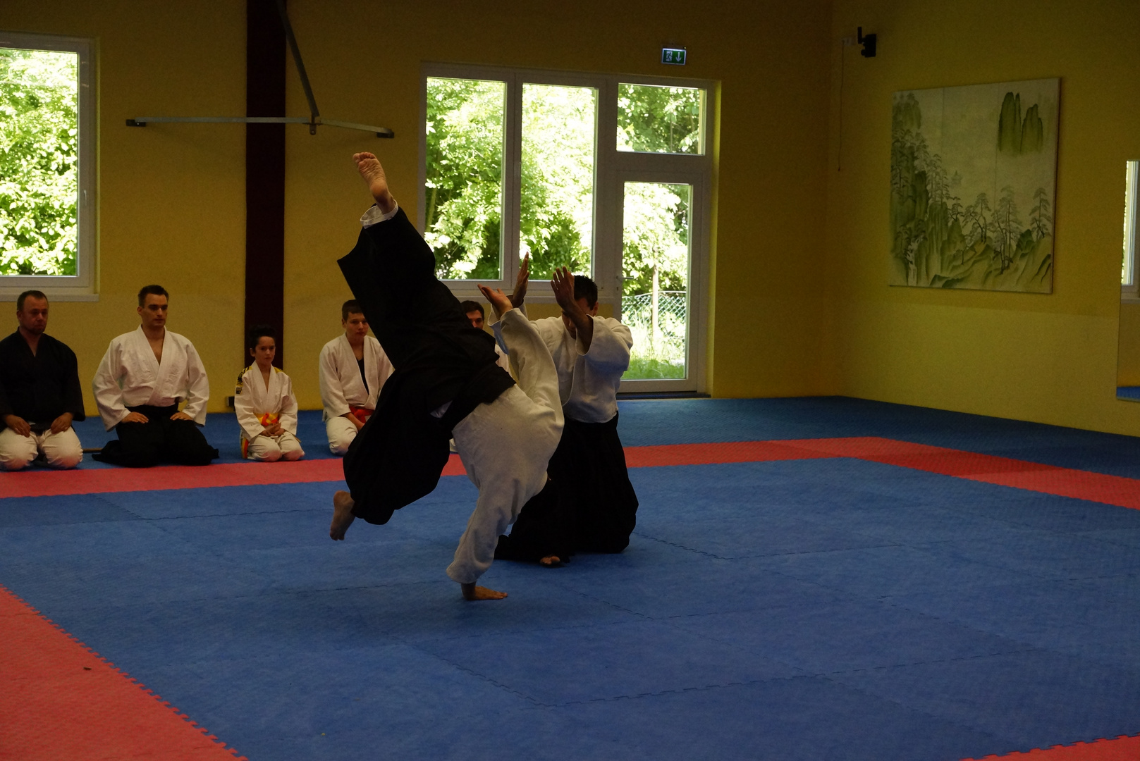 Bruchsaler Budo Club-Aikido2