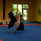 Bruchsaler Budo Club-Aikido2