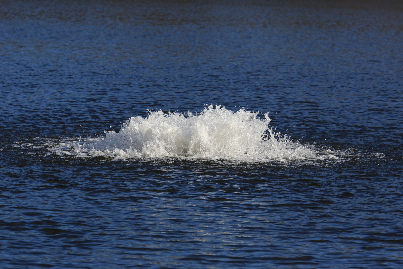 Bruchsee (bei Heppenheim)